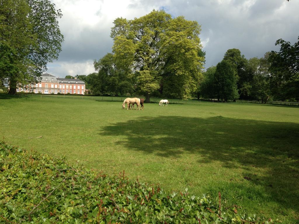 B&B De Henehoeve Heks Esterno foto