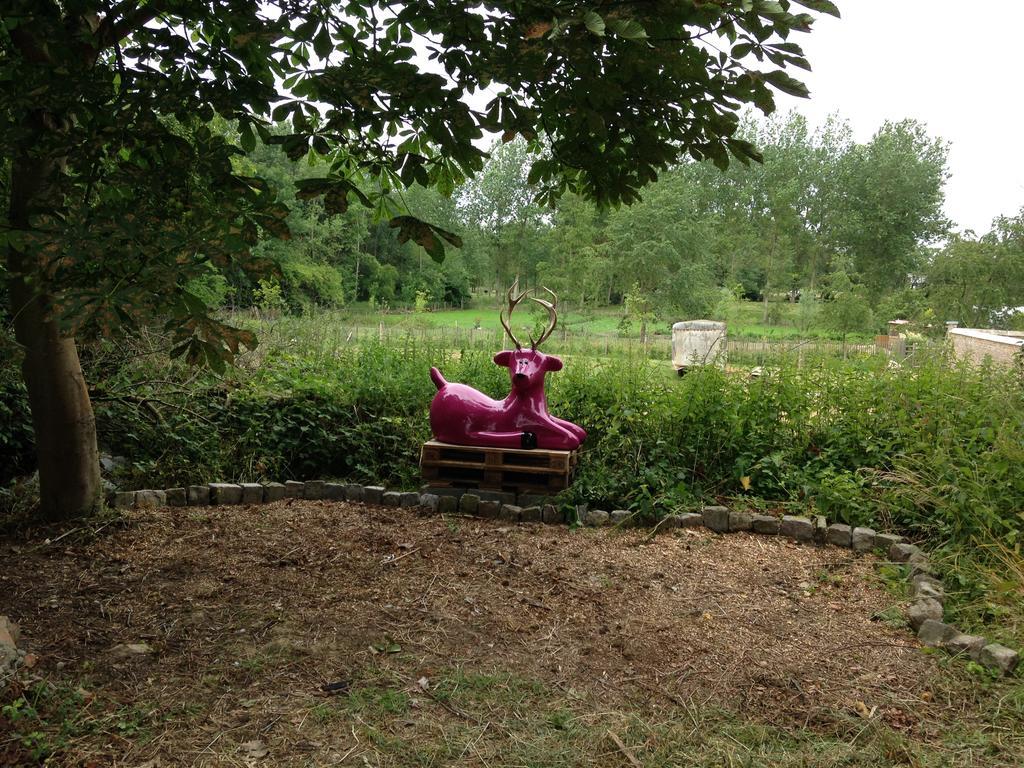 B&B De Henehoeve Heks Esterno foto