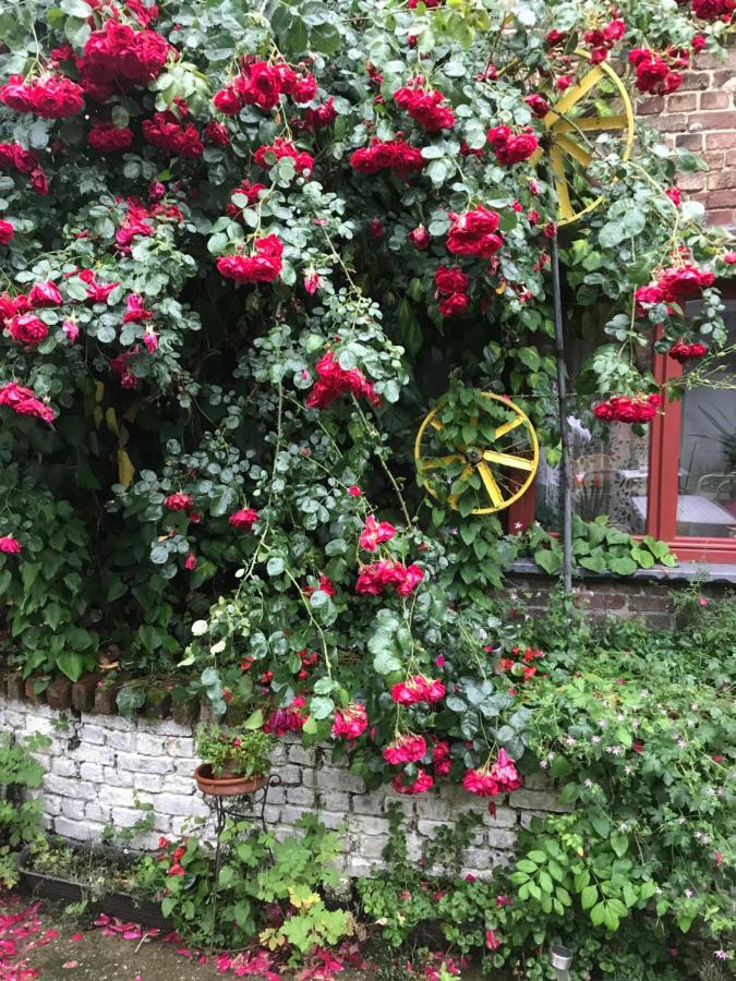 B&B De Henehoeve Heks Esterno foto